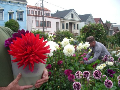 photo of community gardeners with flowers